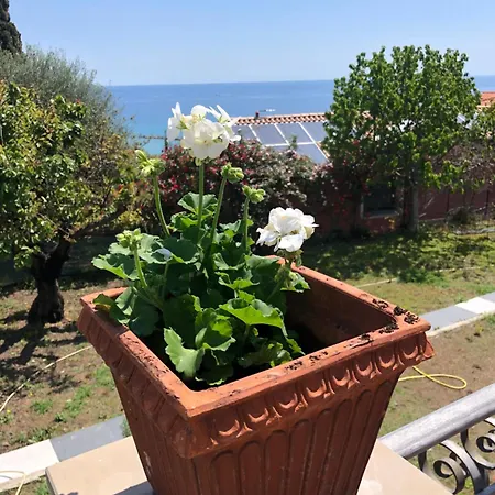 Dolcevita Guests 3* Taggia